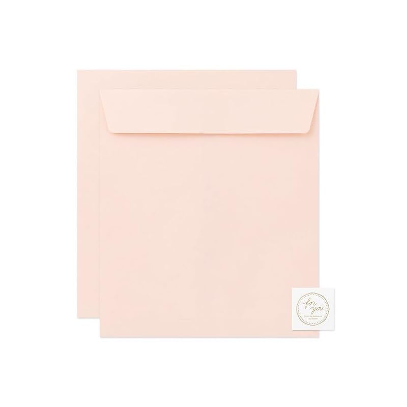 MIDORI Colored Envelope for Shikishi (Colored Paper), Pink, 33286