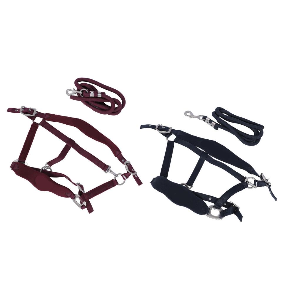 Horse Halter Set Prevent Rubbing Adjustable Horse Training Halter with 2m Horse Leash for Training D