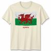 Wales Cymru Welsh Flag Unisex Tshirt Patriotic Welsh Pride Apparel