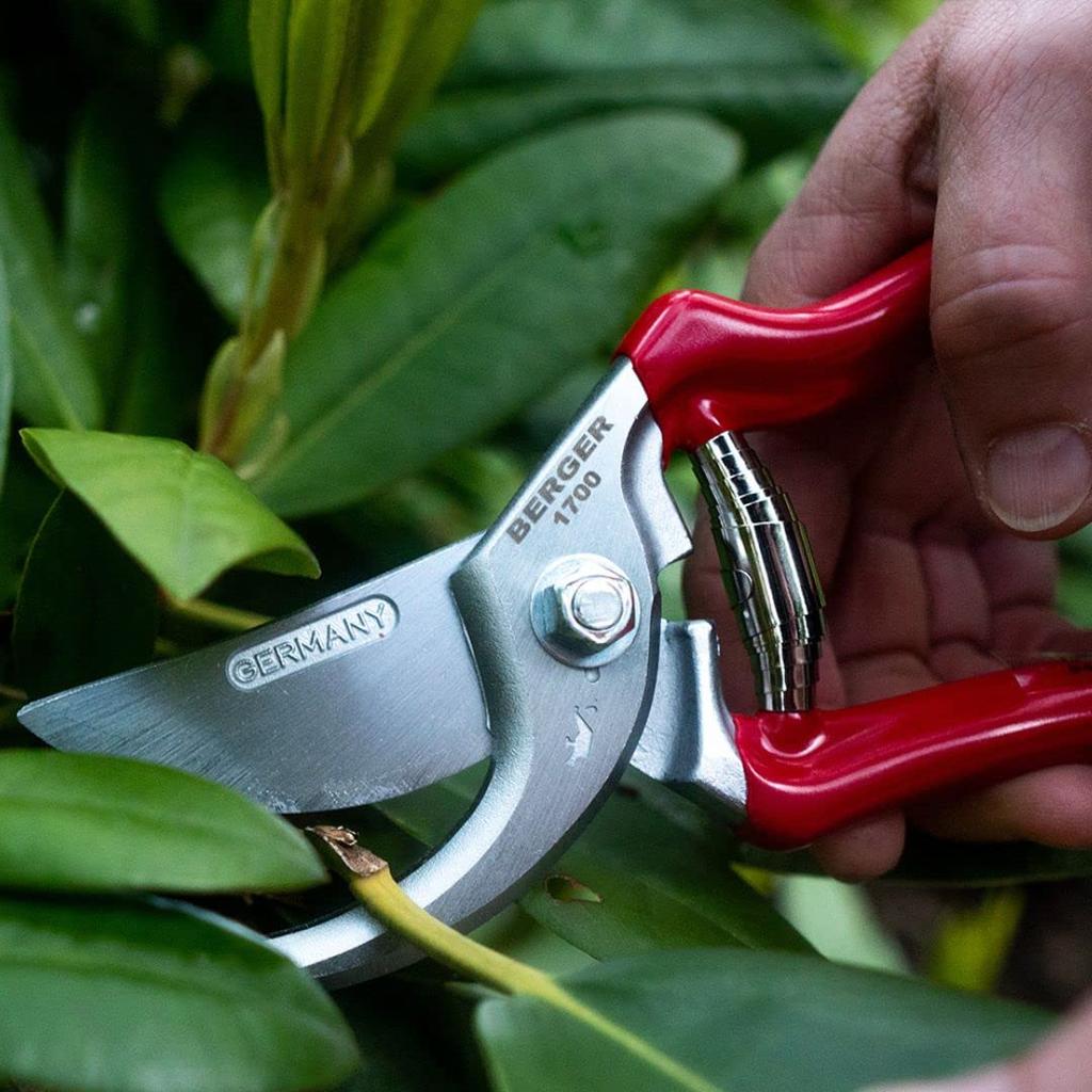 BERGER Pruning Shears 210mm Blade Cm Powerful 2cm Branch (Germany) Cutting!