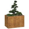 VidaXL Rusty Planter 120x80x80 Cm Stainless Steel, Flower Pot, Plant Stand, Raised Bed, Support of 860793