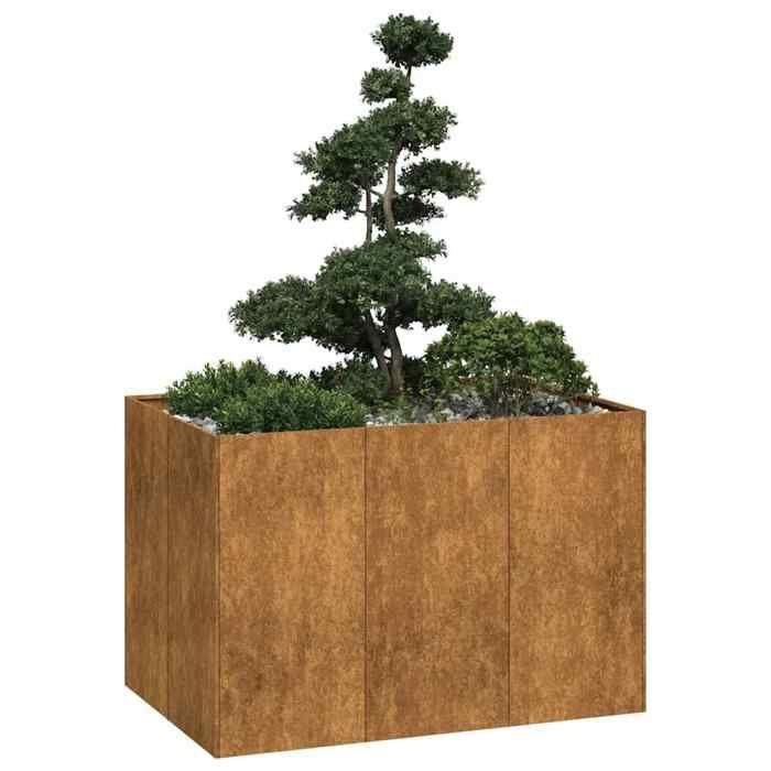 VidaXL Jardinière rouillé 120x80x80 cm acier inoxydable, pot de fleurs, support de plantes, lit surélevé, support de 860793