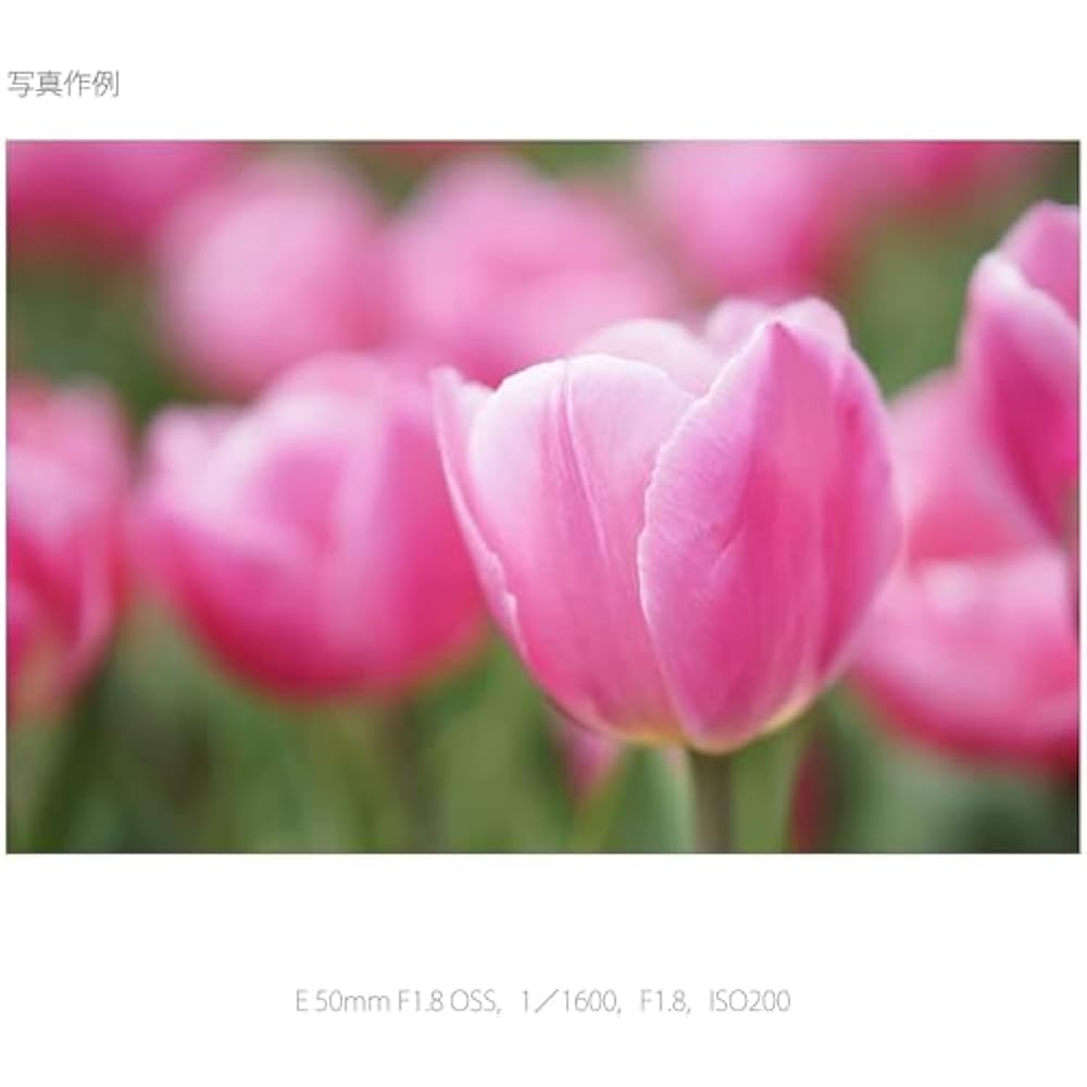 SONY (Sony) Telephoto Single Focus Lens APS-C E 50mm F1.8 OSS Digital Single Lens Alpha [E Mount]...