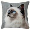 1pc Burmese Cat Art Pillow Cover, Measuring 45.72X45.72 Cm, Made of Soft And Smooth Polyester Short Plush Fabric, Featuring a Single-Sided Printed Des