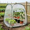 PopUp Greenhouse For Outdoor Indoor House Mini Greenhouse Cover Tent Frost Protection Room Winter Tent For Plants Vegetables