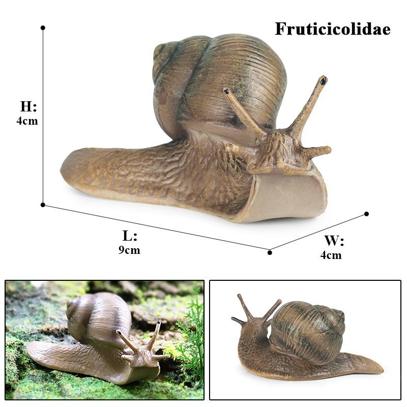 Oenux  Insect Animals Model Butterfly Bee Dragonfly Mantis Ant Snail Action Figures Jouet Collection Decor Kids Education Toy