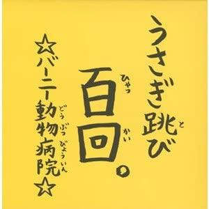 

CD BERNIE ANIMAL HOSPITAL - Usagitobi 100 Kai Japan Japanese Pop/Rock Used