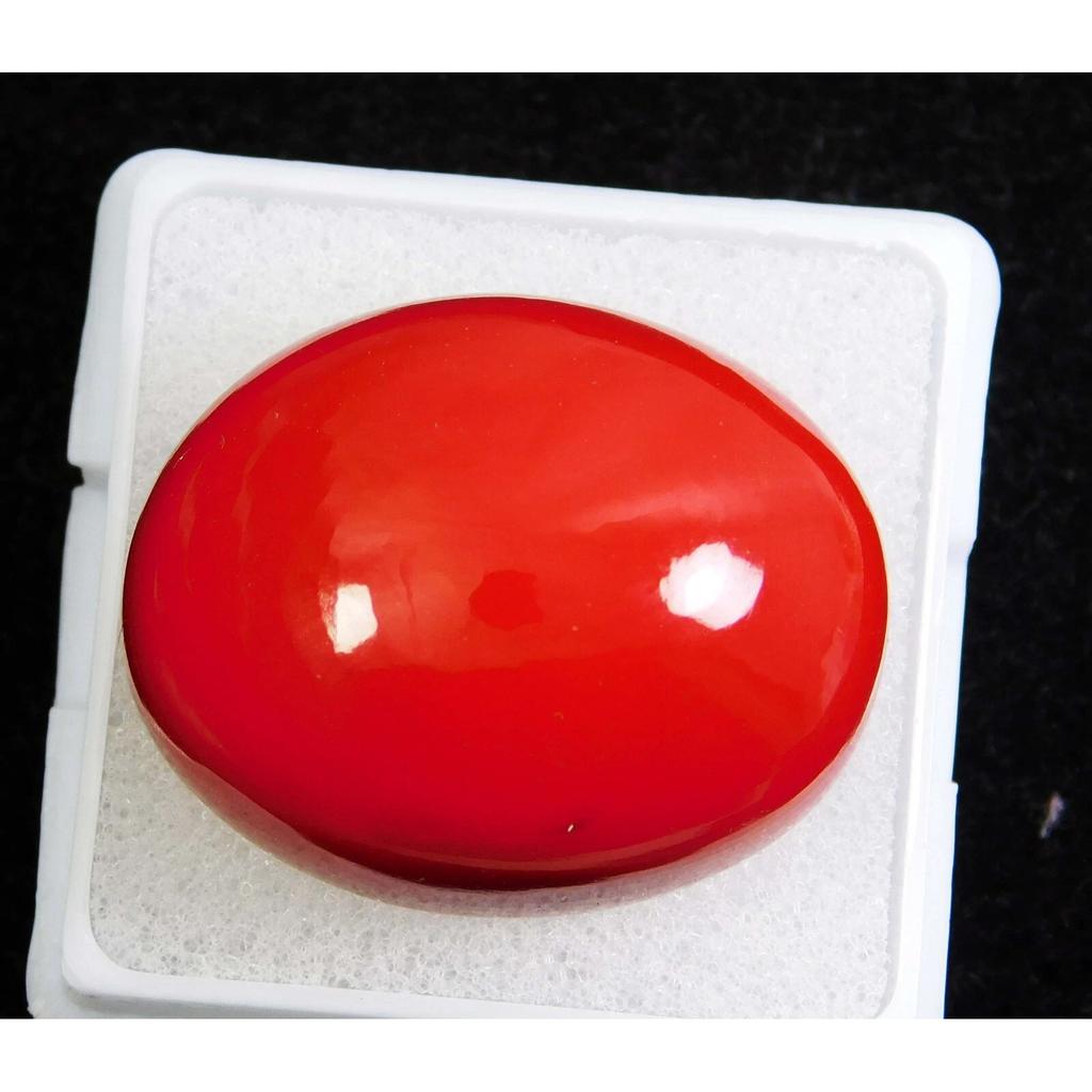 AAA+ Natural Red Coral 42.45 CT Oval Cabochon Cut Italian Loose Gemstone