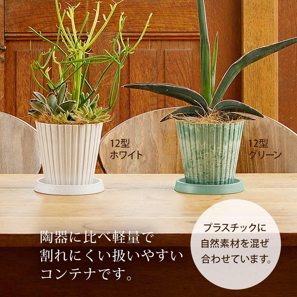 Richell Botany Stripe Pot 15 Type Set of 3 Green 003066