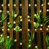 Solar Led Garland Violets For Balcony Terrace Garden Lights 50Led 7M