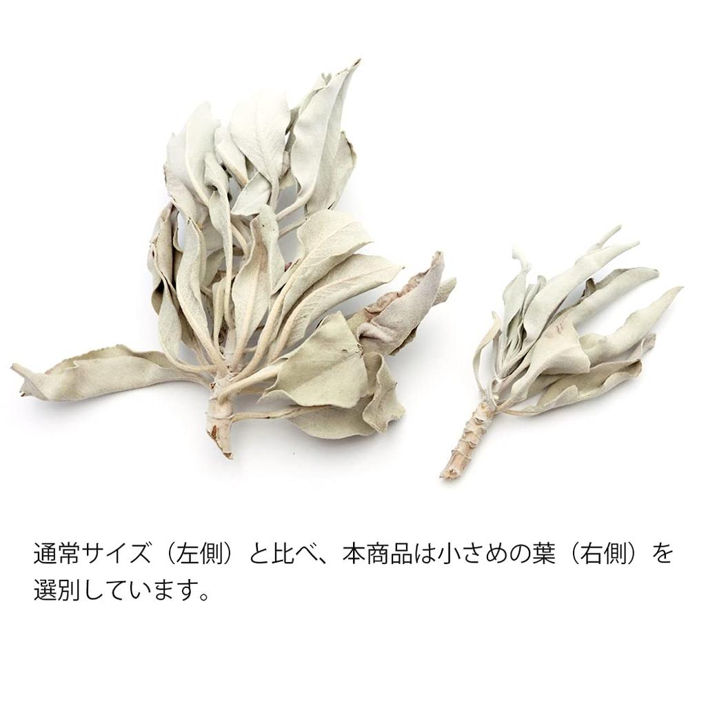 [GOLD STONE] White Sage, Pesticide-Free, California, Approx. 50g (with Stems, Small Leaves)