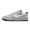 Nike Big Charcoal Meteorite Star Breathable And Slip Resistant Low Top Skateboard Shoes Men's Meteorite Gray 355152-017(Team717-)