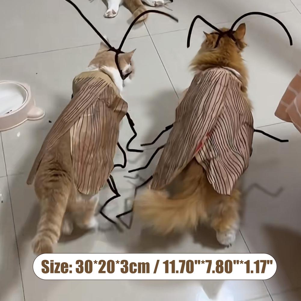 Cat Cockroach Costume –Cat Cockroach Clothing DIY Kit for Halloween, Funny Kitten Cape Craft Set with Wings and Antennae