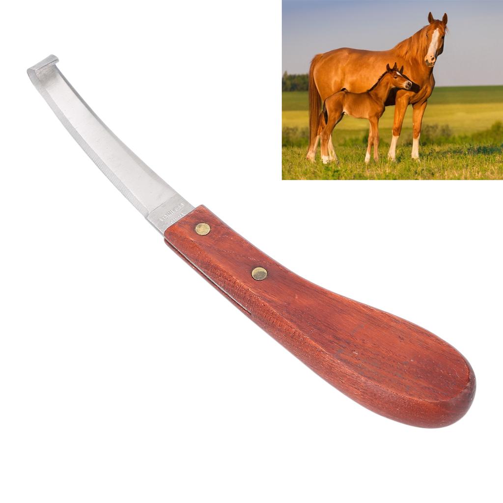 Horse Hoof Knife Stainless Steel Blade Hoof Trimming Knives with Comfortable Handle
