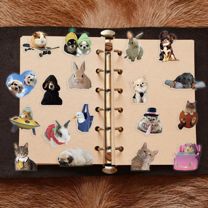 50 Cartoon Cat and Dog Meme Sticker Pack Waterproof Transparent PET Manual Animal Material Decorative Guitar Notebook
