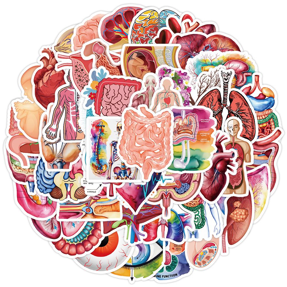 50 Human Teeth & Organs Cartoon Stickers - Waterproof Decorative Doodles for Water Bottles, Phones, Laptops, Suitcases (50-Pack)