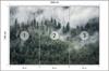 Photomural Forest In The Morning Mist Structural Vinyl 208x146
