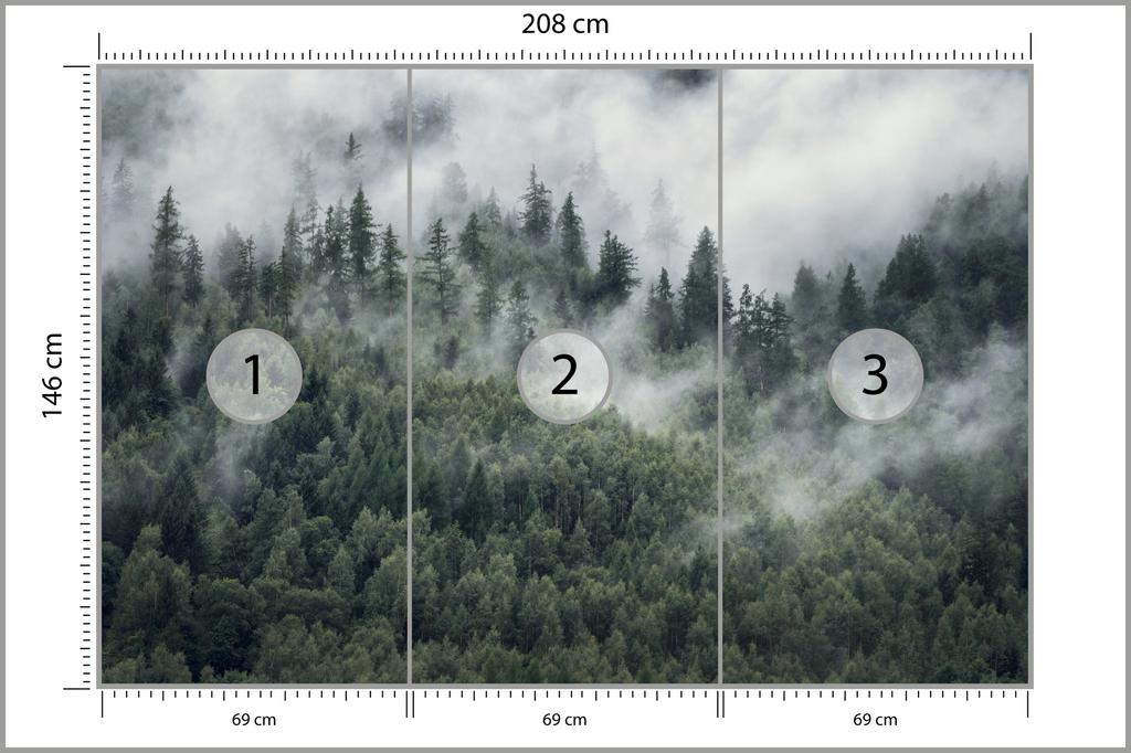 Photomural Forest In The Morning Mist Structural Vinyl 208x146