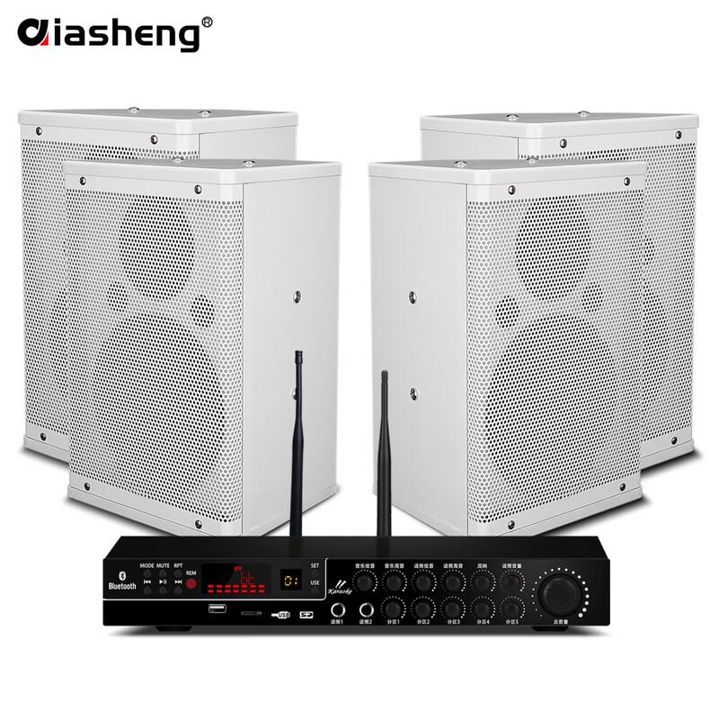 QIASHENG 6.5-inch Conference Room Audio Set