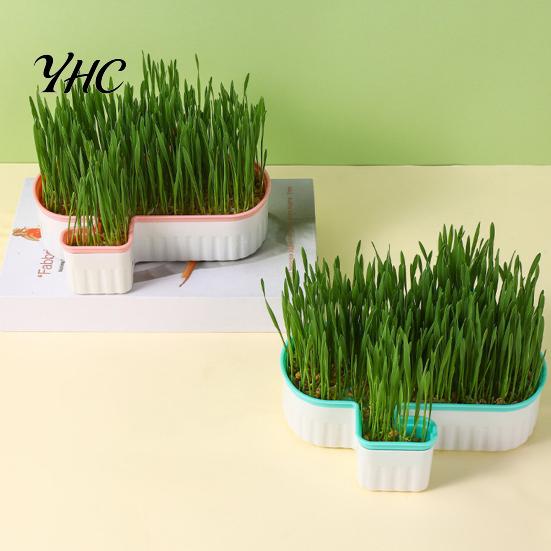 Cat Grass Planting Box Hydroponic Planter Detachable Bottom Fine Filter Hole Double Self-watering Layer Soilless Catnip Snack Growing for Garden