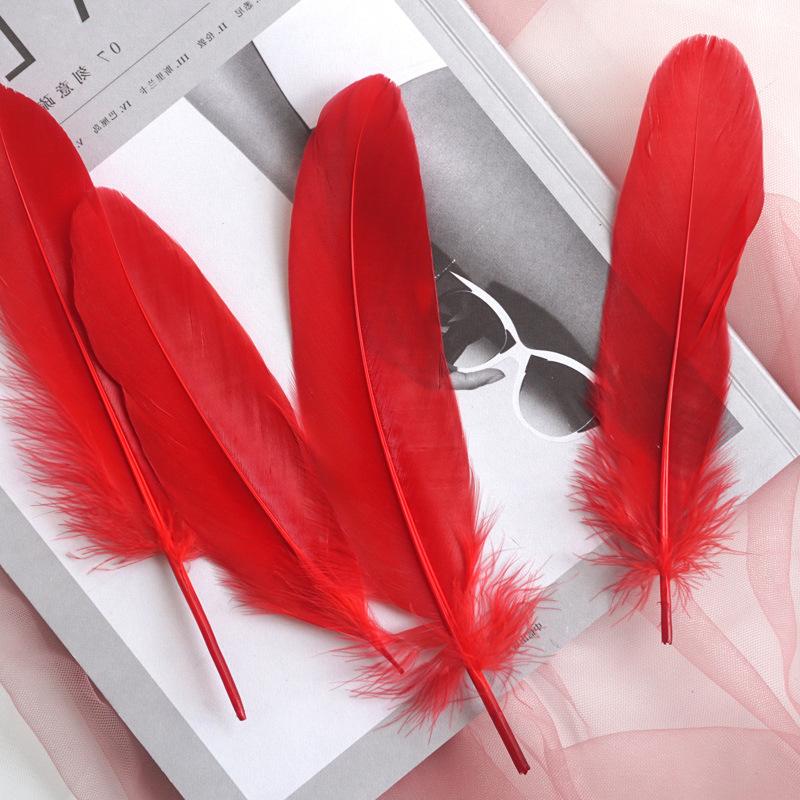 50Pcs White Feather Goose Feather Hard Floating Dream Net Decorative Wings Sun Flower Wall Decoration Kindergarten Handmade Art Class Materials