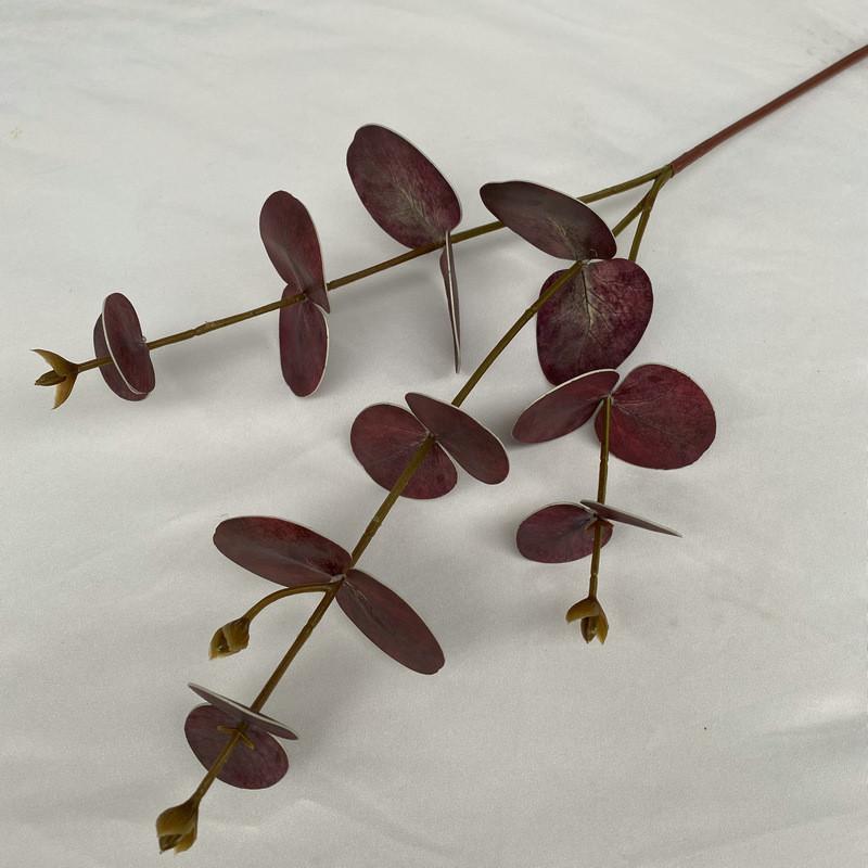 Peníze Eukalyptové Listy Stonky Pro Vnitřní Venkovní Svatba Dárek Dekorace