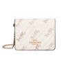 10 Carriage Print Chain Coated Canvas Mini Shoulder Crossbody Wallet Women Bags Cream C4477-IMM6H