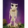 Horror Atmosphere Animal Skeleton Decoration Props Holiday Decoration Ornaments