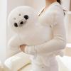 Lazy Seal Plush Toy - Cross-border Sea Lion Doll Cushion Gift