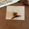 Acetic Acid Colorful Rhinestone Hair Clip Crystal Small Grab Clip Acetate Hairpin  Female