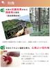 Ikegawa Wood Industry Sheet Cutting Board Natural L Hinoki with Stand Made in Japan
