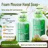 STARCHANGE Camellia Foam Hand Soap