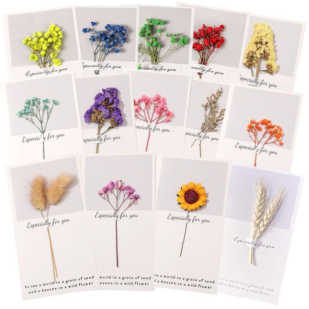 

моин моин Набор сообщений с приветствием Сухоцвет Белый и Идеально подходит для Благодарности, Входных и Деловых Подарков Открытки, 14 штук Конверты, Открытки, Подарки,