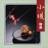 CD ICHIMARU  COLEZO Kouta Tokusen VZCG516 Victor 2005 Japan ObiJapanese EnkaTraditional Used