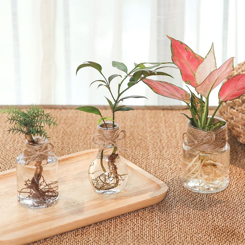 Transparenter Blumentopf Vase Hydrokulturbehälter Miniaturlandschaft Kunststoff Öko-Flasche Heimdekoration