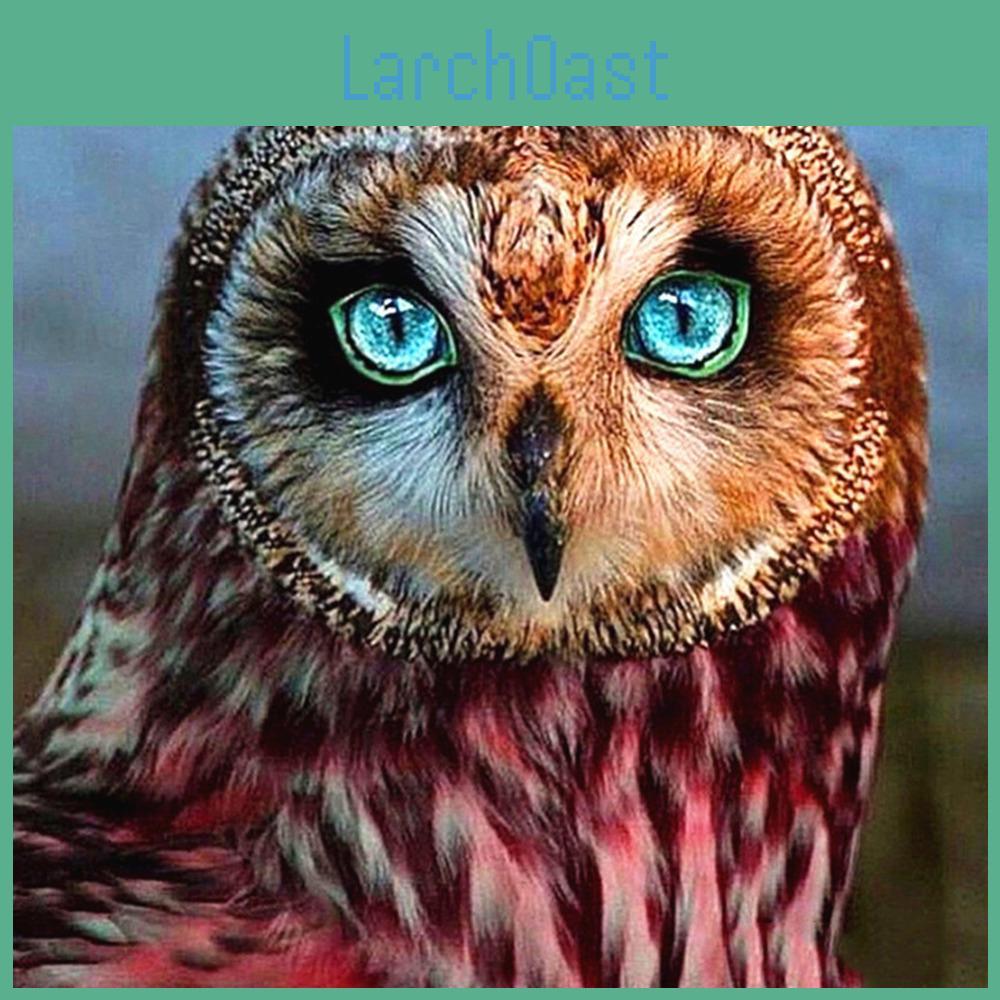 Diamond Embroidery Painting Diamond Owl Full Round Drill 5d Diy Diamond Mosaic Animal Picture