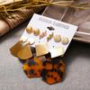 5 Pairs/set Women Fashion Metallic Polygonal Leopard Print Acrylic Earrings Set