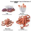 Ocean Crab Simulation Toy Set: Includes Hermit, Swimming, and Three-Spot Plastic Models