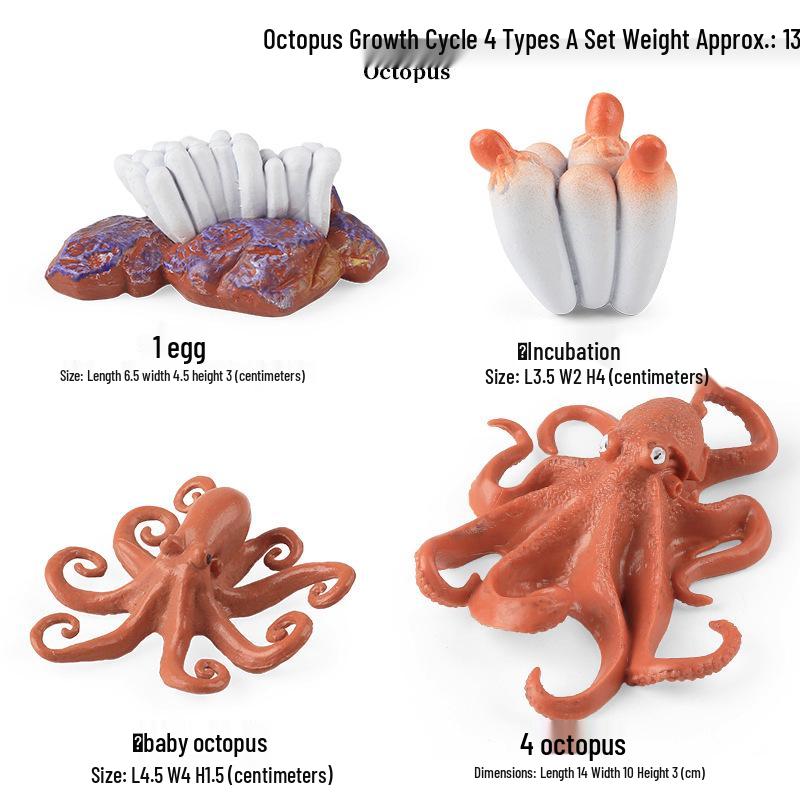 Ocean Crab Simulation Toy Set: Includes Hermit, Swimming, and Three-Spot Plastic Models