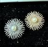 Fashion Metal Sun Flower Pearl Brooches For Women Clothing Coat Badges Jewelry Accessries Gifts