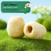 Haoxiangni Freeze-Dried Vitamin C Red Dates