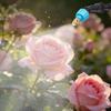 Electric Water Sprayer With Hose 2000mAh 3 Adjustable Nozzle Portable Watering Sprayer Wand For Lawn Yard Patio Outdoor Flower