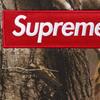 Supreme Moletom com Capuz Box Logo (25FW) Camuflagem Realtree AP
