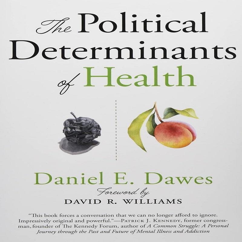 Die politischen Determinanten der Gesundheit Taschenbuch