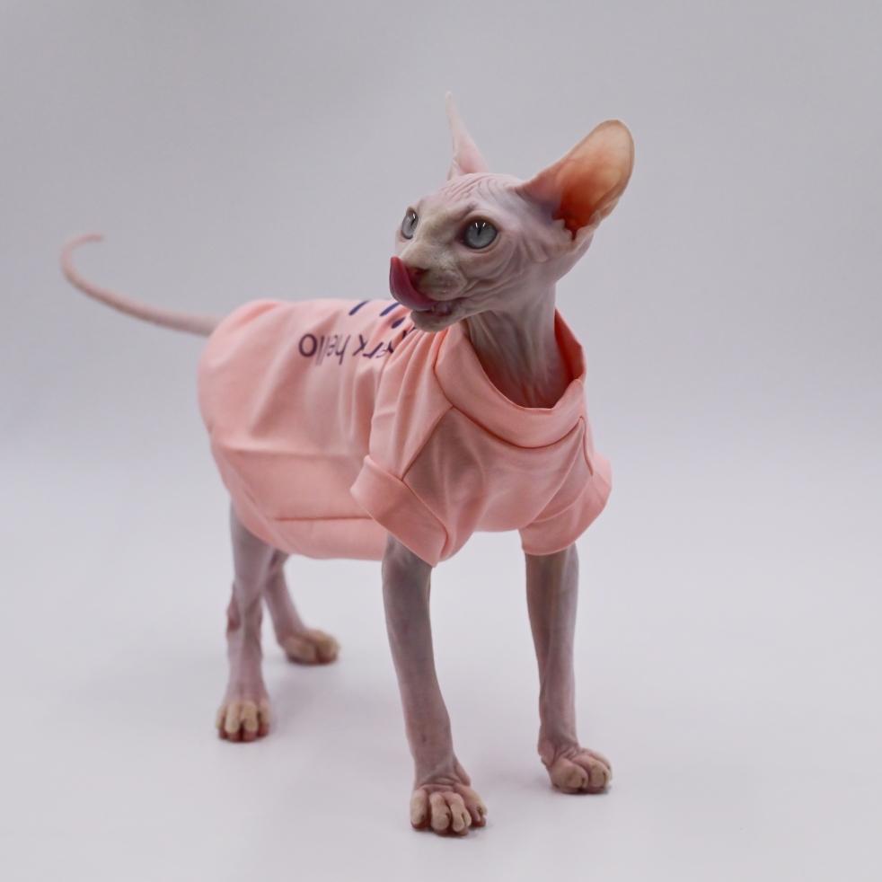 DUOMASUMI Sphynx Cat Clothing, Thin, Hairless, Breathable, Anti-drop Clothes for Cats, Summer