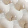 2PCS PP Egg Storage Container 3 Rows Egg Preservation Box Fresh Egg Tray Holder  Kitchen