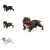 American Bully Pitbull Animal Model Pvc Figurine Collectible Display For Dog Enthusiasts