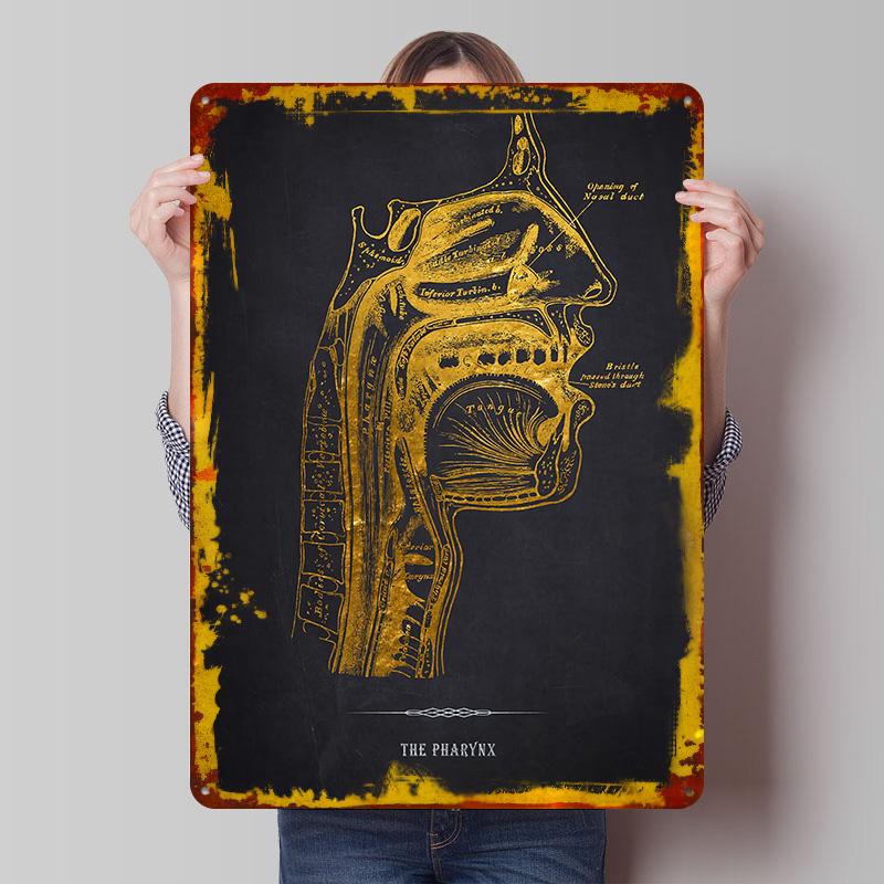 

Gold Pharynx Anatomy Tinplate Poster Customized Wall Art Vintage Retro Metal Signs for Office Decor Bedroom Decorations Man Cave 7.9x11.8In(20x30cm)