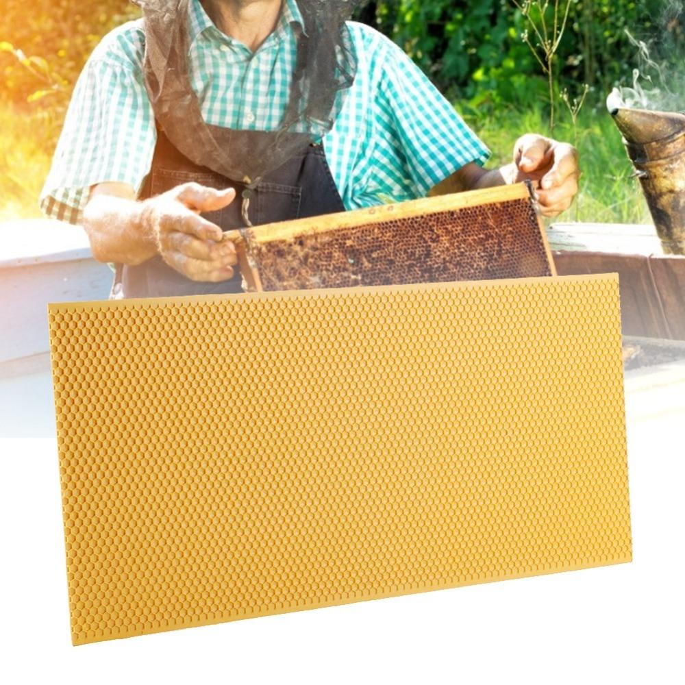 Plastic Material Comb Foundation Frame Non-Toxic Beekeeping Tool Beekeeping Frame Beekeeper Use