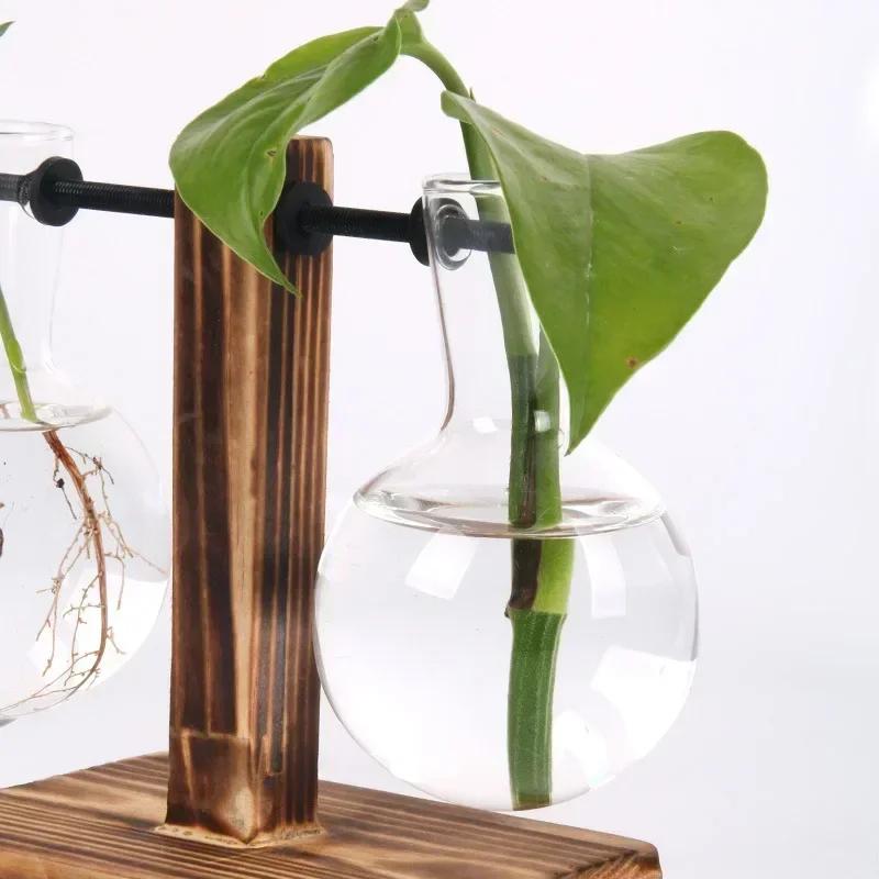Planta hidropônica Terrário Vasevase Decoração Casa Garrafa de vidro Hidropônica Decoração de mesa Escritório Planta verde Pequeno vaso